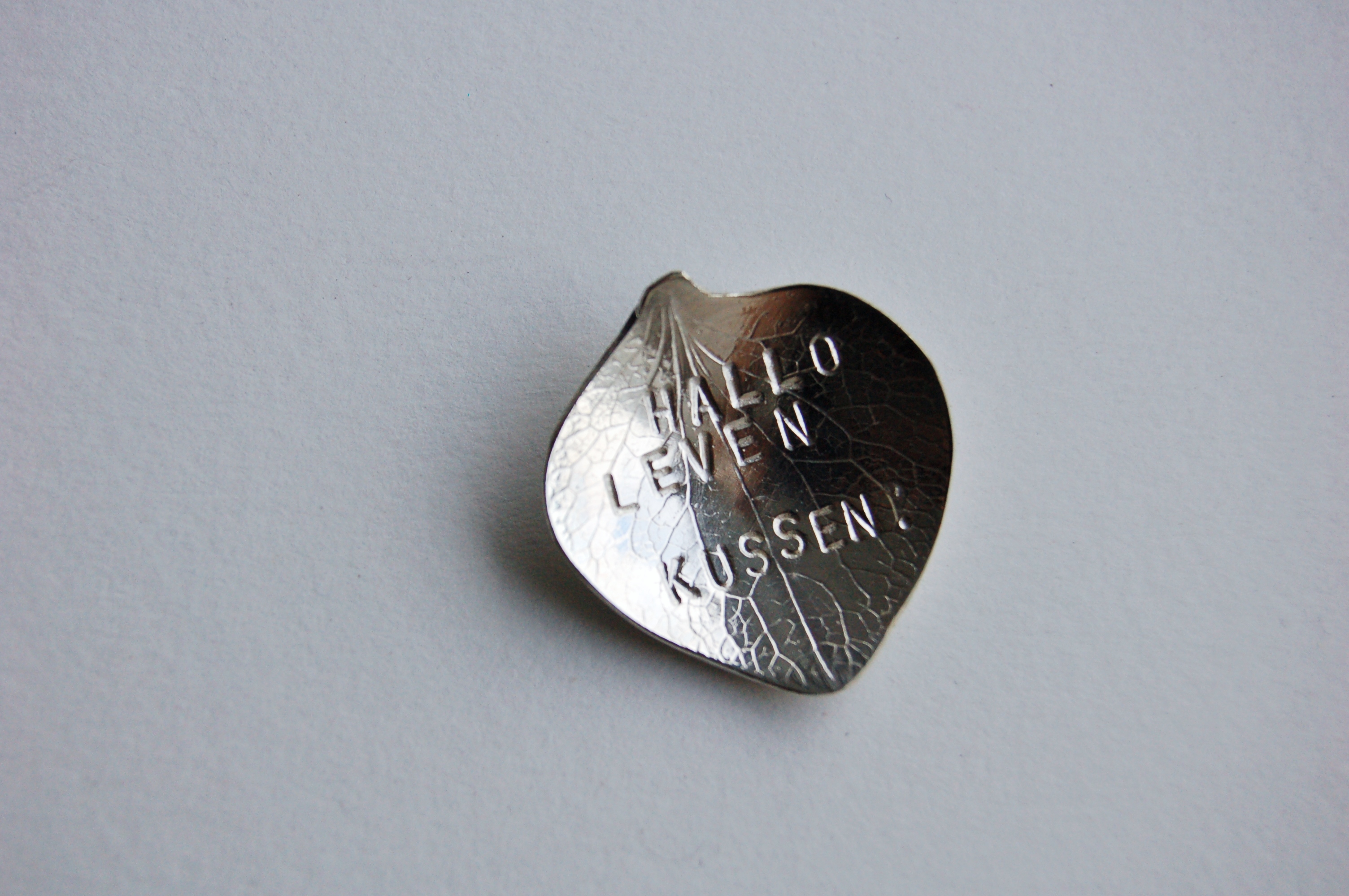 hallolevenkussen_blad